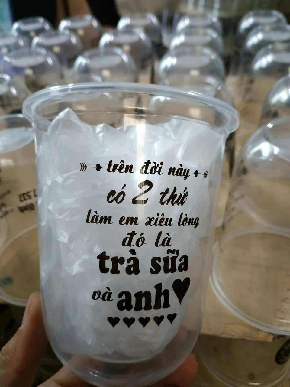 In ly nhựa Ninh Hòa